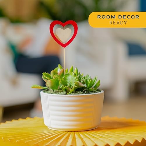 Mini Succulent 6-8 Inches Tall Cute Succulent Gift Décor Pot Succulent Garden