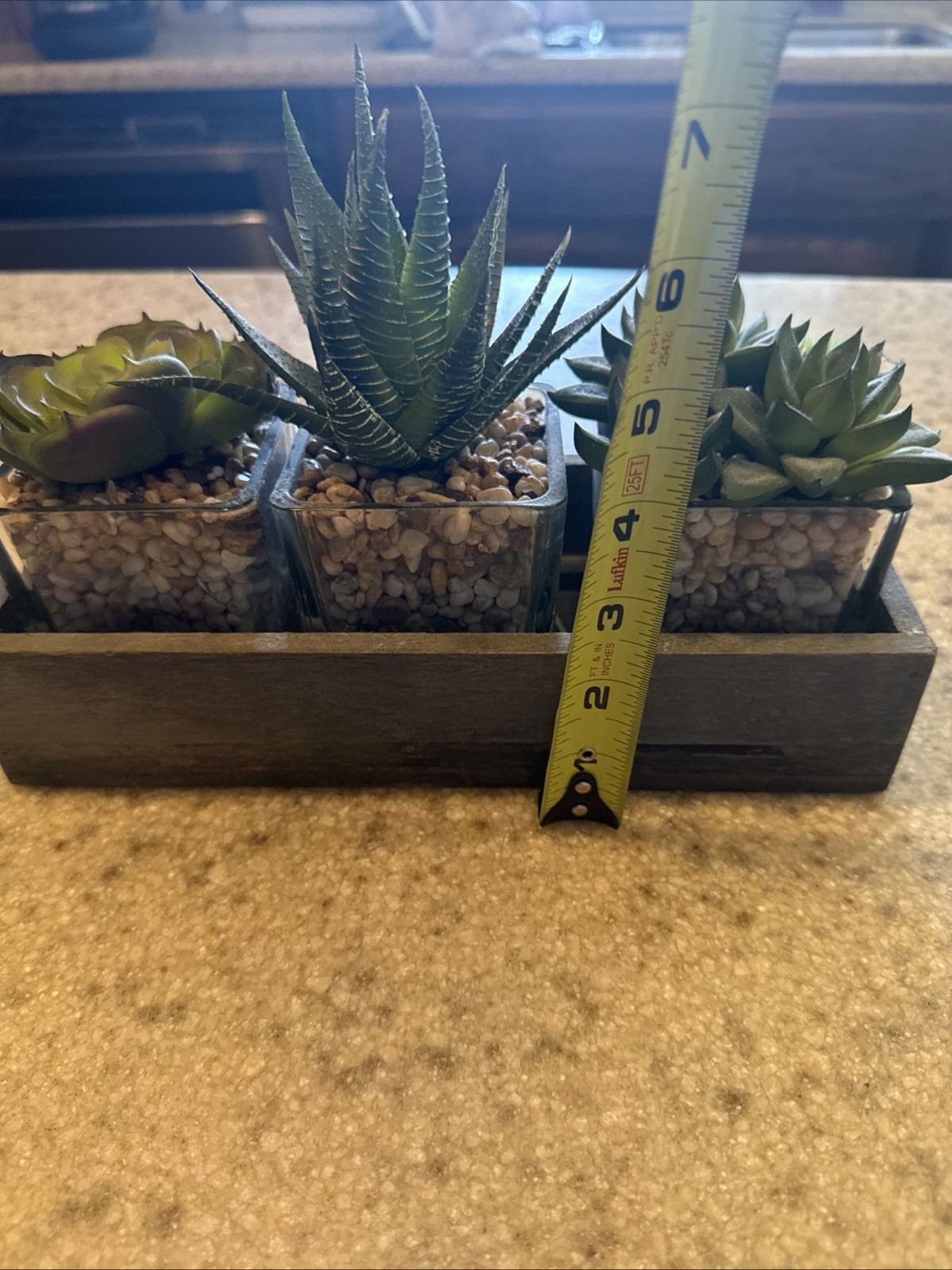 Artificial Succulents In Three Glass Containers Glued In Wooden Box
