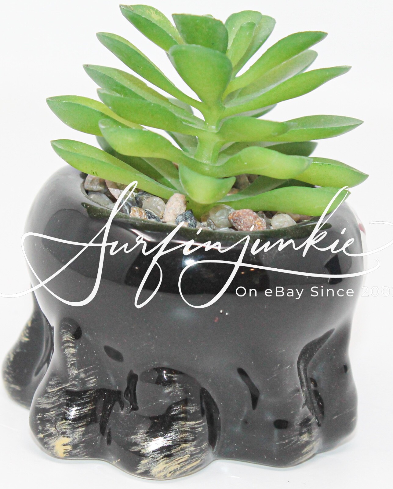 Day of the Dead Mini Succulent Faux Cactus Plant Statue La Muerte Dia De Los