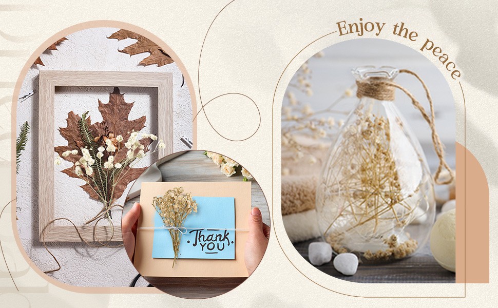 50 Pcs Mini Dried Baby Breath Flowers 3000+ Wedding Ivory White Flowers Bulk 2-4