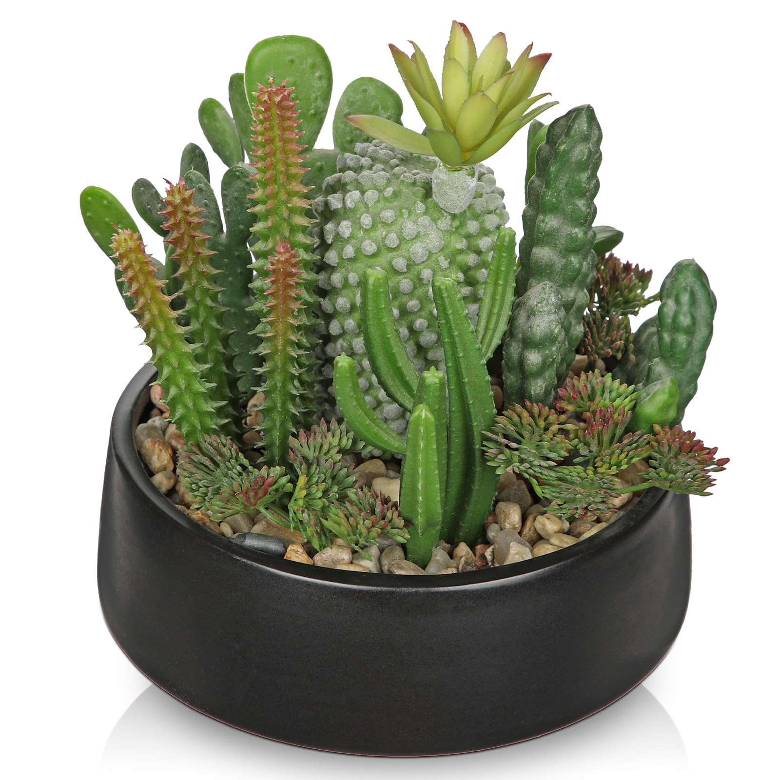Artificial Cactus Plants in Pot 5.5 Inch Fake Succulents Arrangement Potted P…