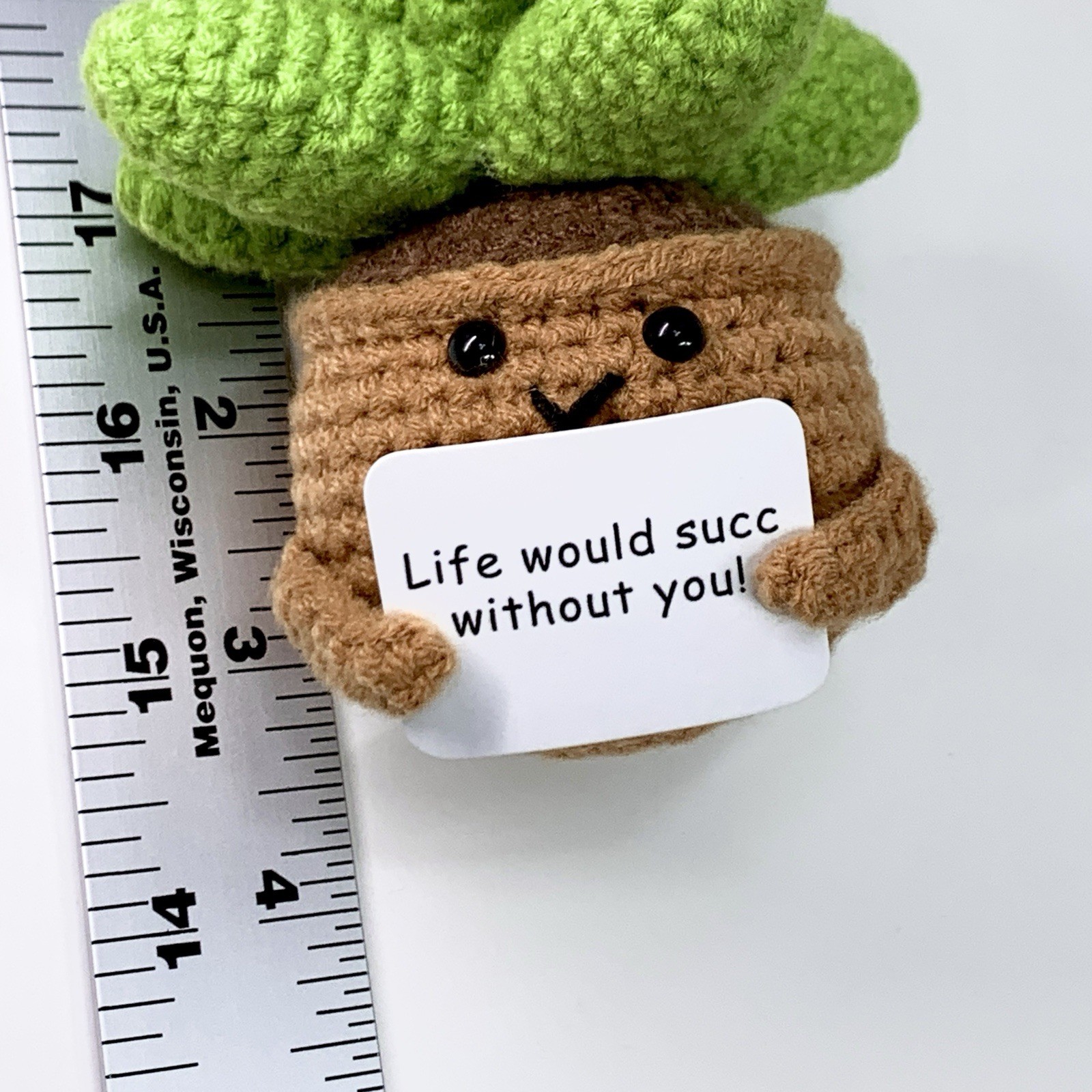 Small Novelty Crochet Succulent Potted Plant Saying Life Would Succ Without You