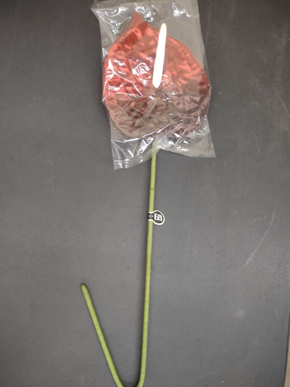 Giant Tropical Anthurium Flower, Red/Burgundy Satin, Large Bloom & Long Stem