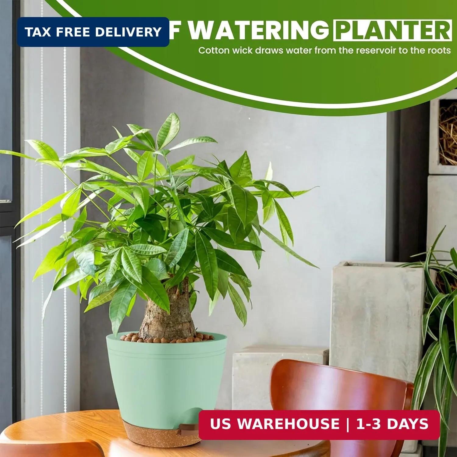Self Watering Pots for Indoor Plants, Planters for Indoor Plants, Multi-Size …