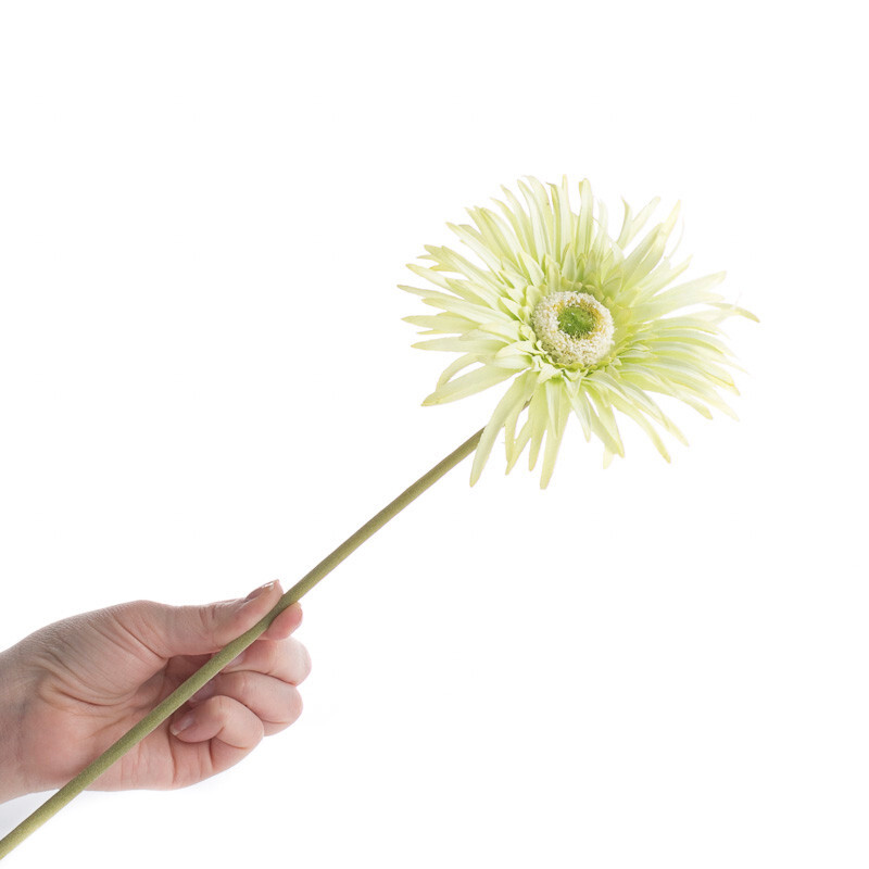 Set of 4 Artificial Key Lime Green Spider Daisy 25″ Floral Stems