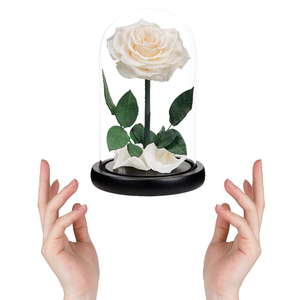 Preserved Roses White Roses Handmade Rose in Glass Dome, Preserved Flowers Ne…