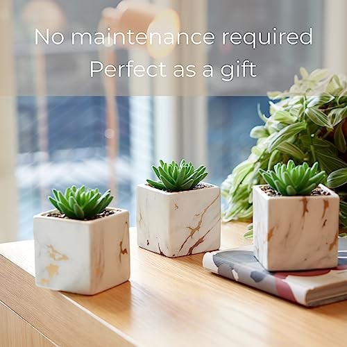 Nordik Square Marble Pots with Gold Vein Accents – Set of 3 Ceramic White Gold