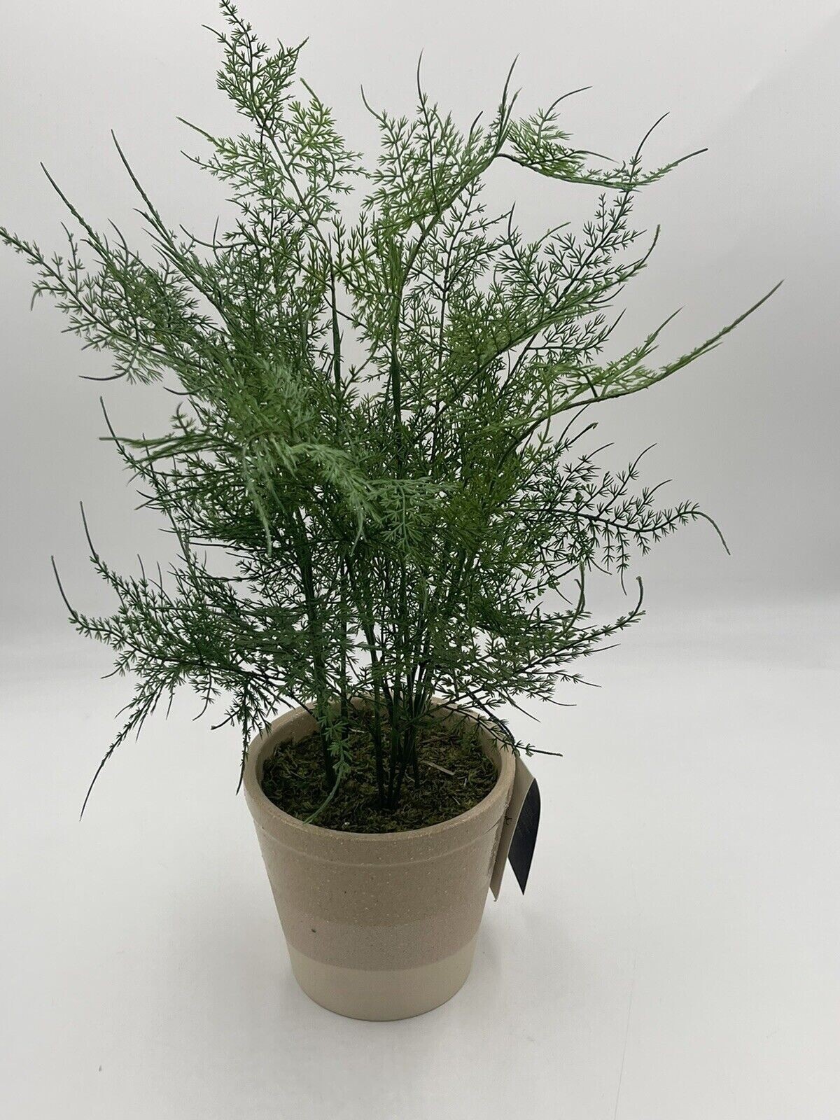 4 Hearth and Hand with Magnolia Artificial Faux Potted Plants Asparagus Fern Lot