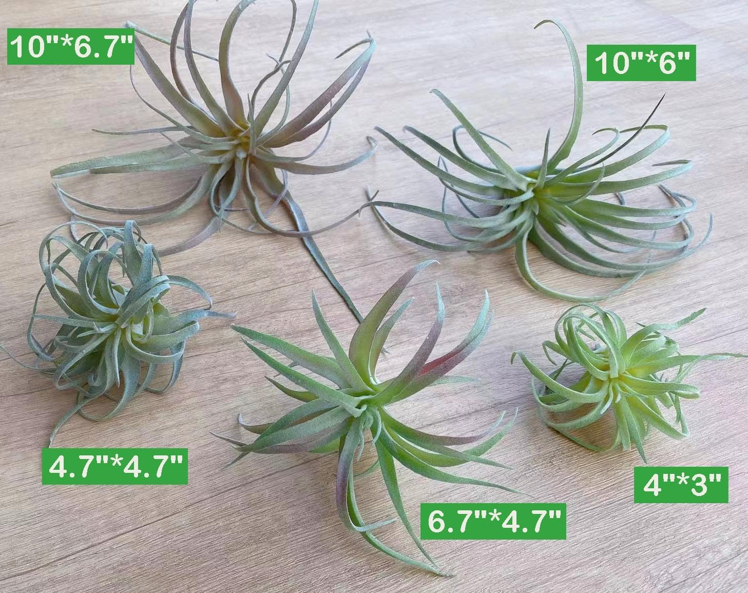 ® Large Green Real Touch Faux Air Plants, Lifelike Fake Tillandsia Pick, Artific