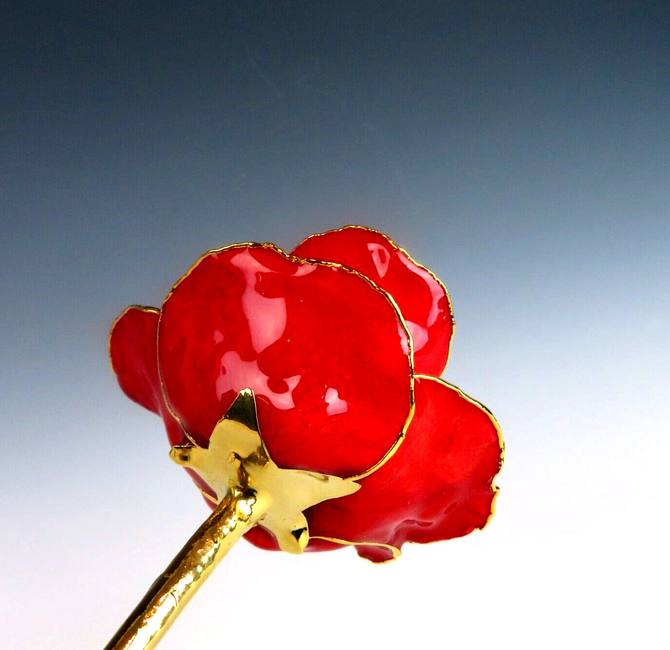 Real Red Rose Preserved & Dipped in 24K Gold – 11″ Long Stem Gift Keepsake