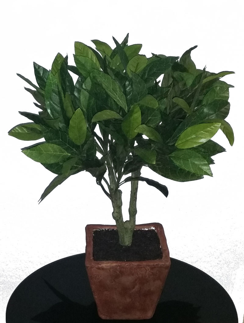 Artificial Dwarf 18″ Bay Leaf Laurel Tree Silk Potted