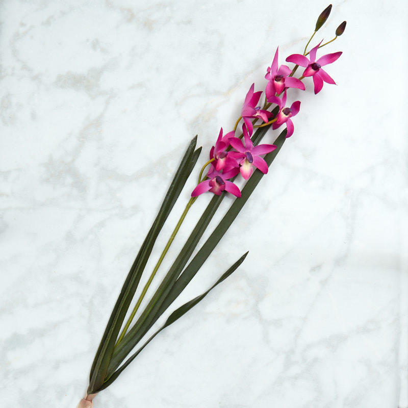 Factory Direct Craft Poly Silk Fuchsia Orchid Floral Stem | 29 Inches Long
