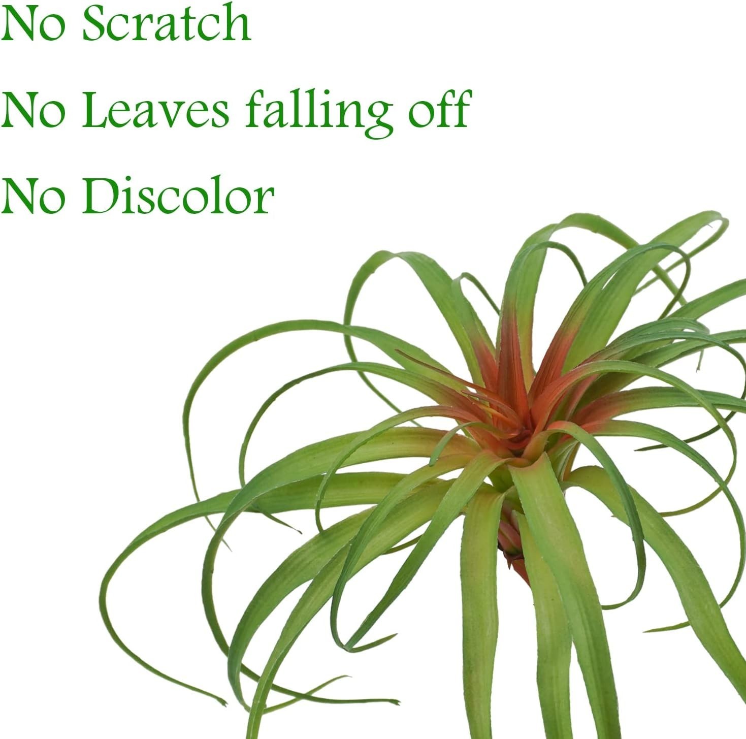 Realistic Flocked Tillandsia Plants – Set of 4