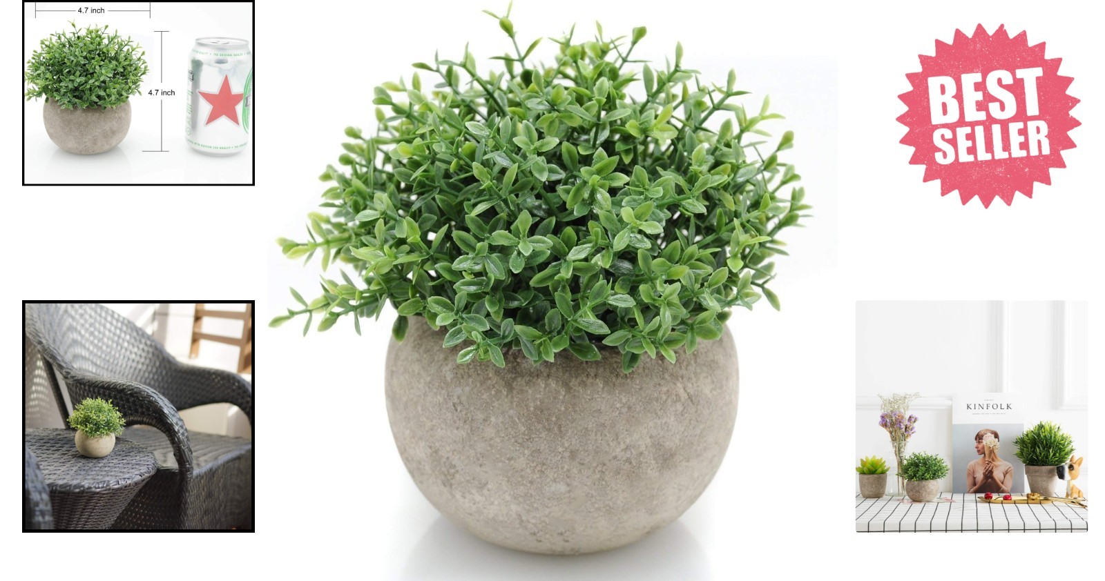 Elegant Mini Boxwood Topiary Plant – Dust Resistant and Eco-Friendly Decor