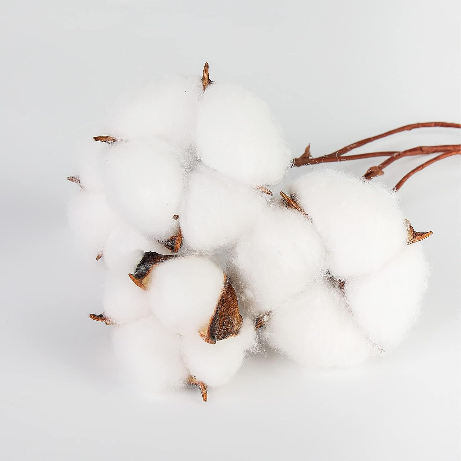 30PCS Natural Dried Cotton Stems 15″ Tall, Rustic Cotton Sprigs for Vase Fillers