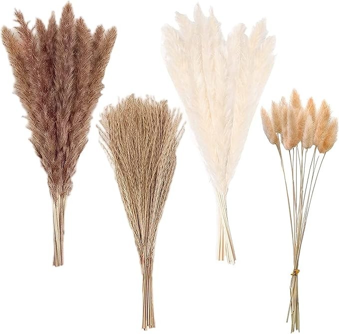 80 Pcs Pampas Grass 17.5 Inches Natural Dried Pampas Grass 80 White Pampas Grass