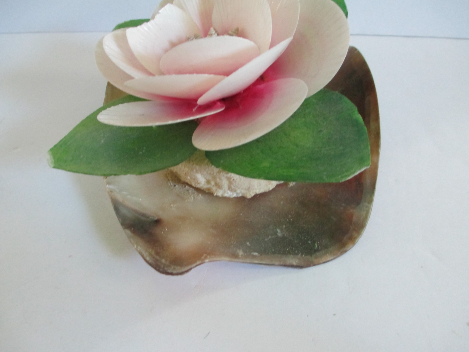 Floral Shaped Shells Blooming Flower Decorative Piece Art Home 6 x 8 in Vintage