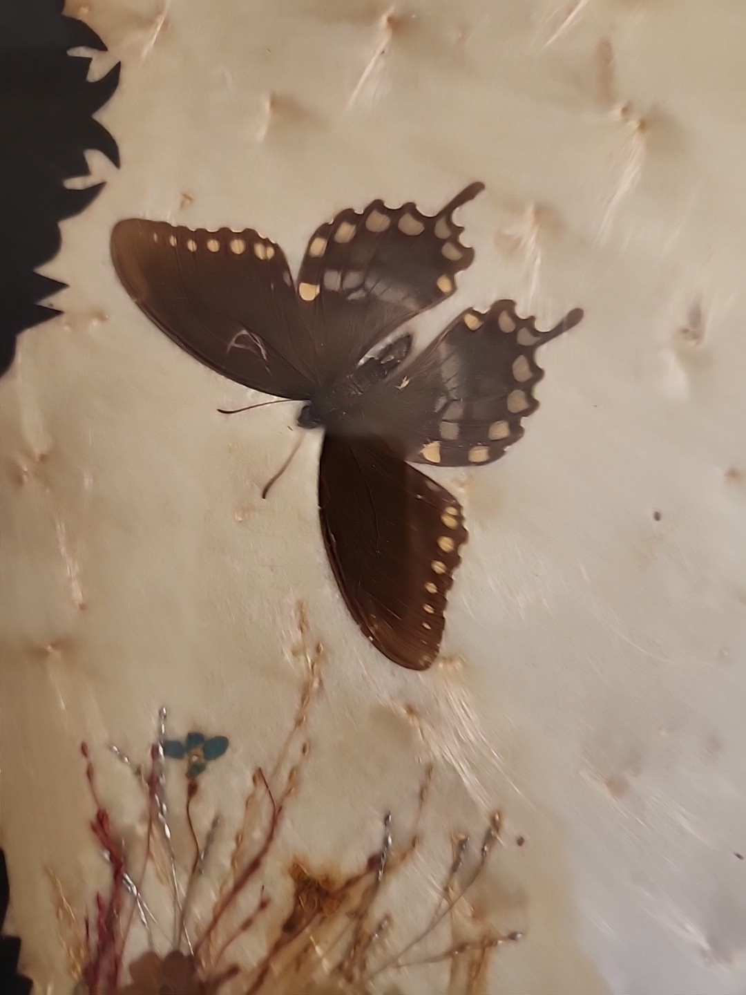 Vintage Butterfly Style Art Glass Tray W/ Stand