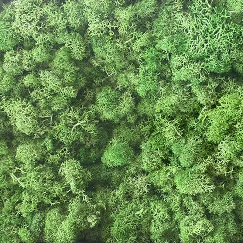 200/500g Artificial Green Plants Fake Grass Eternal Moss For Home Decoration NEW