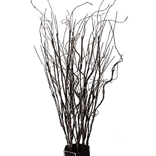 FEILIX 10PCS LIFELIKE CURLY WILLOW BRANCHES DECORATIVE DRIED TWIGS – BROWN