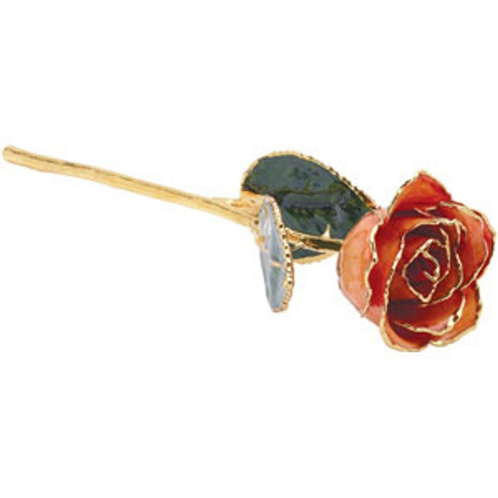24k Gold Dipped Orange Lacquer Real Rose Valentine’s Day Holiday Gift