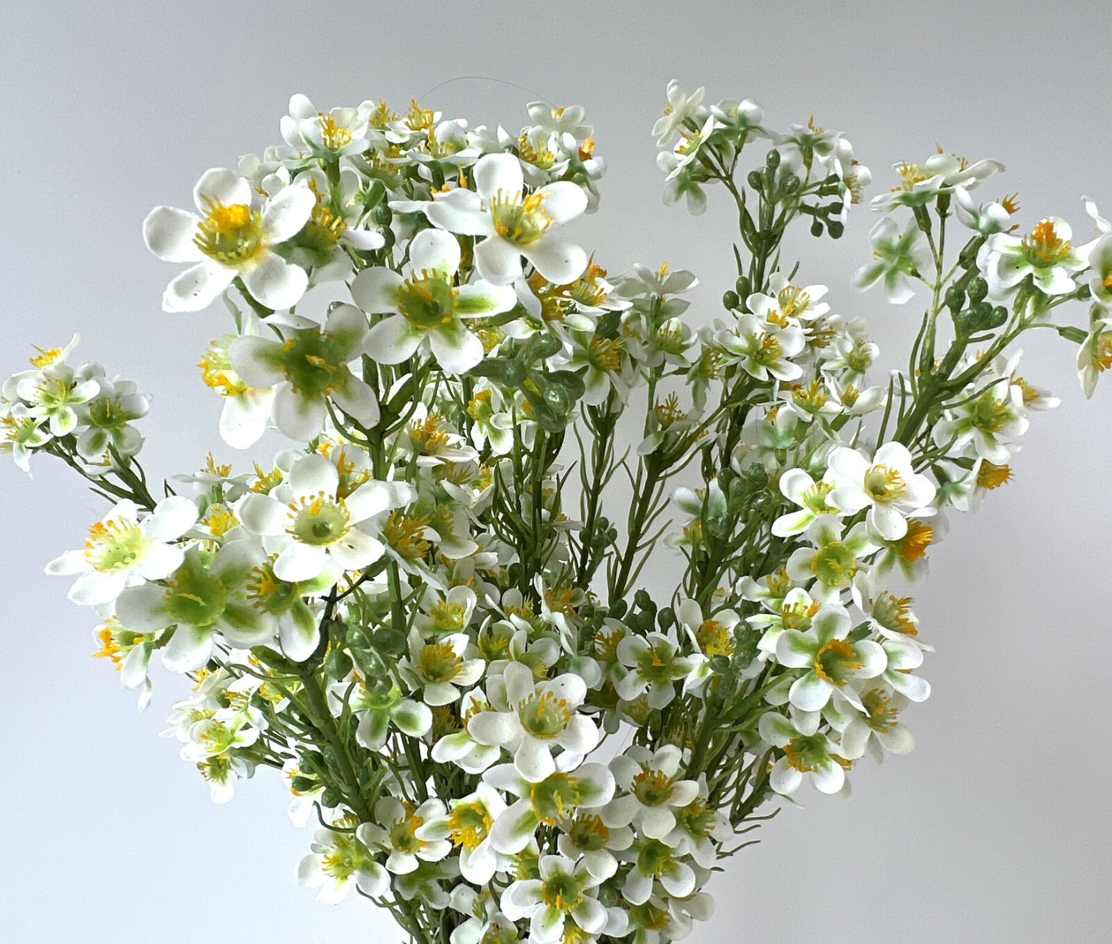 Geraldton Wax Flower Australian Native Flowers White Green Wax Stem Artificial 1