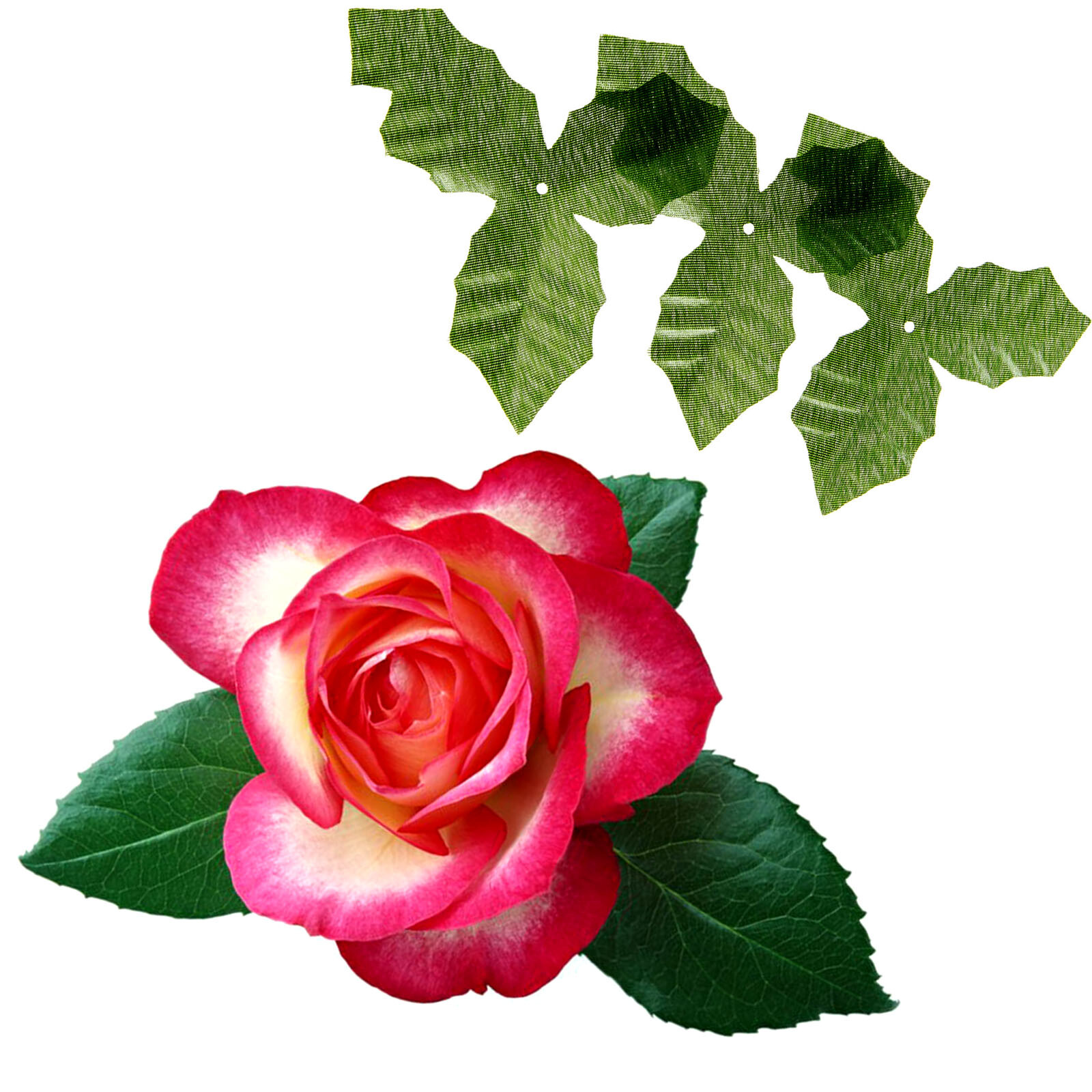 50 x Artifical Leaves Rose Flower Leaf Wedding Xmas Holly Wreaths Decor Crafts