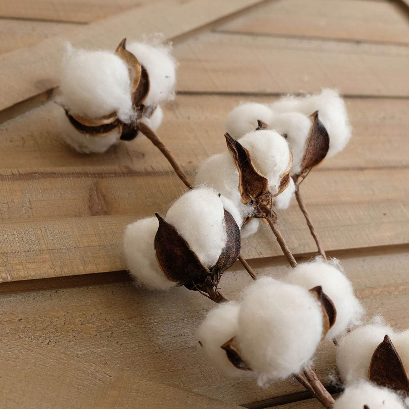 Elegant Cotton Stem Decor – 6 Pcs, 31″ Tall Dried Flower Branches