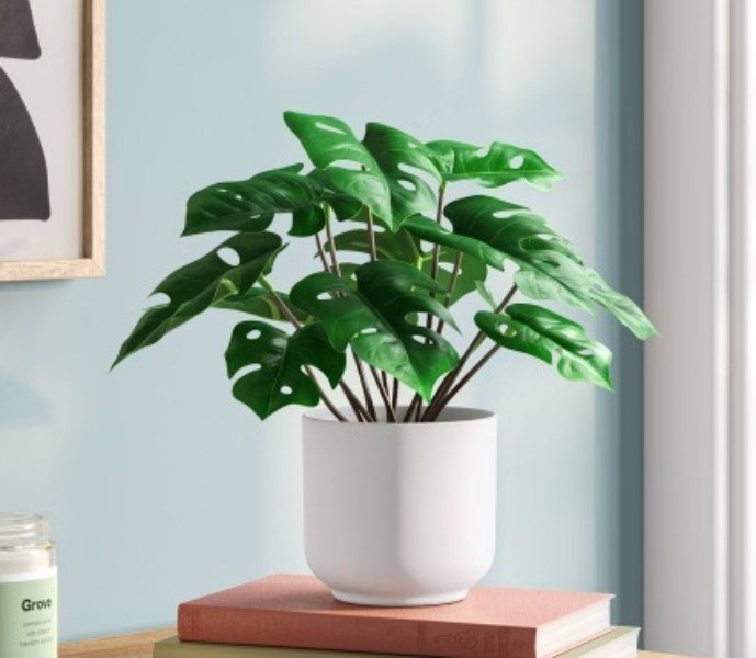 4.6"x7.2" Monstera Artificial Plant – Room Essentials