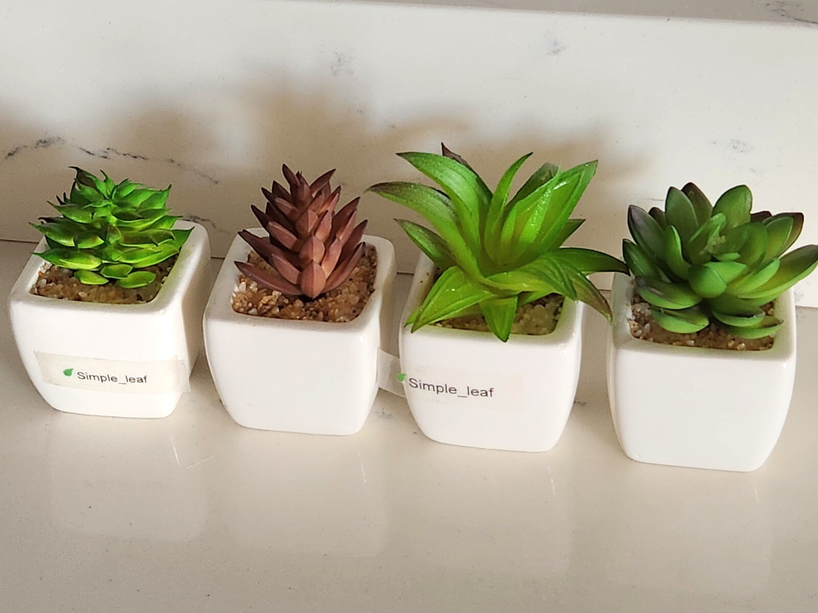 Party Favor Artificial Succulent Set in White Ceramic Pot Mini Plant Home Decor