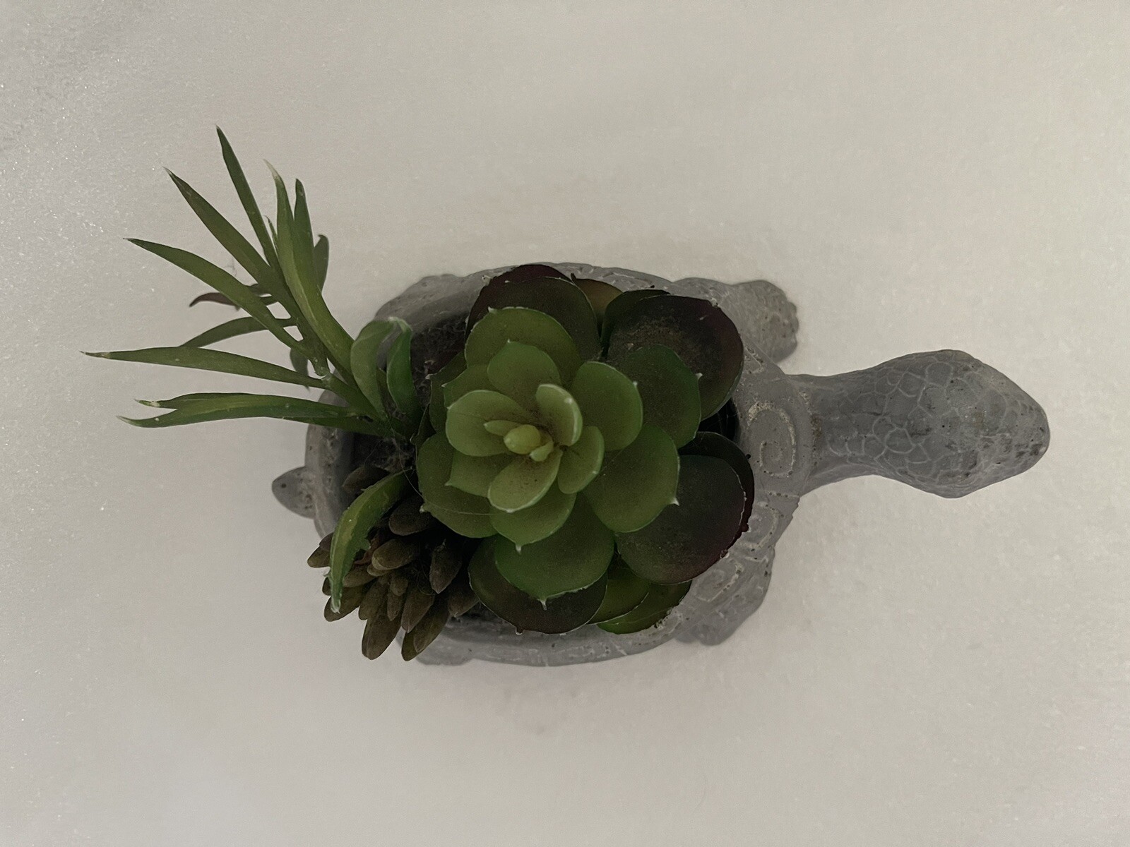 Carved Stone Turtle Potted With Faux Succulent Plants Garden Home Decor Swirls