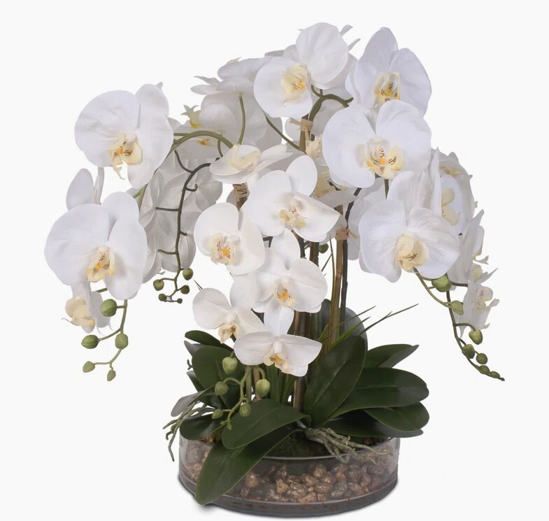 Bayou Breeze Large White Orchid Arrangement Centerpiece in Glass Bowl Rocks