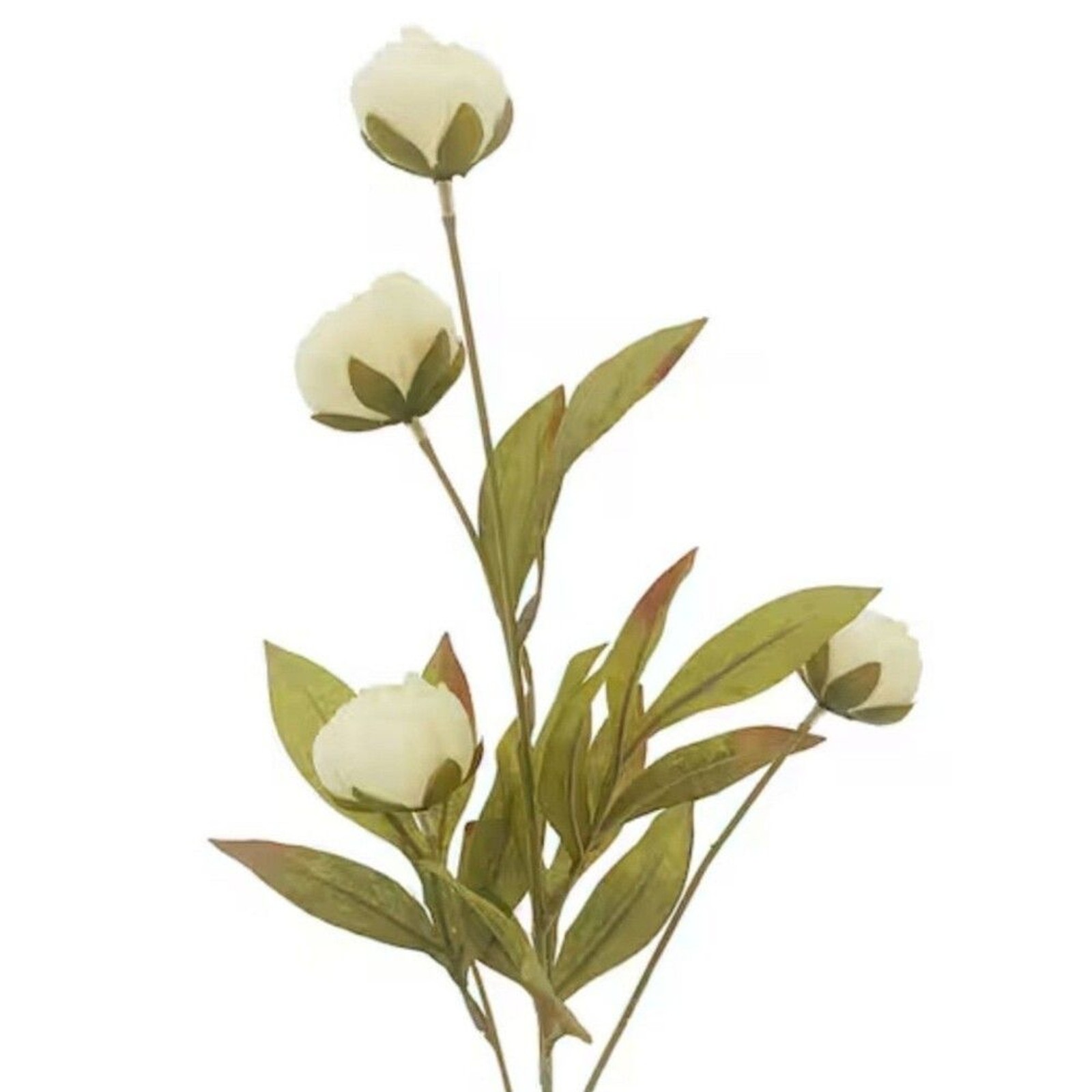 Viral Ashland Cream Peony Stem Michael’s- Set of 5