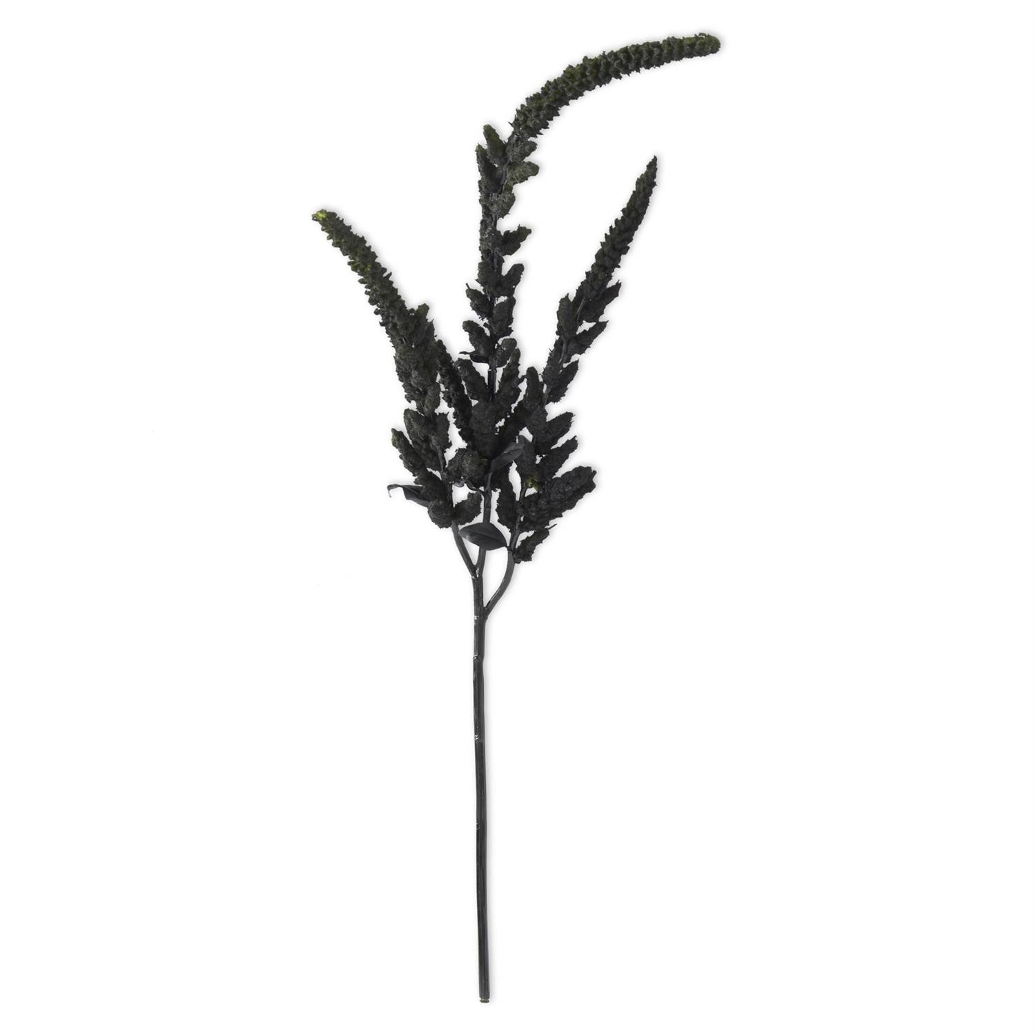 37 Inch Black Amaranthus Stem NEW