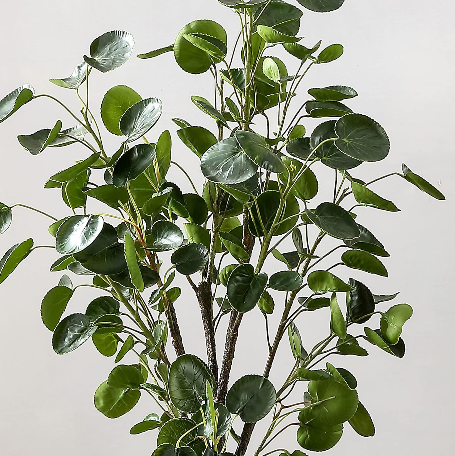 Lifelike 49-Inch Faux Polyscias Fruticosa Potted Tree – Fully Assembled Decor