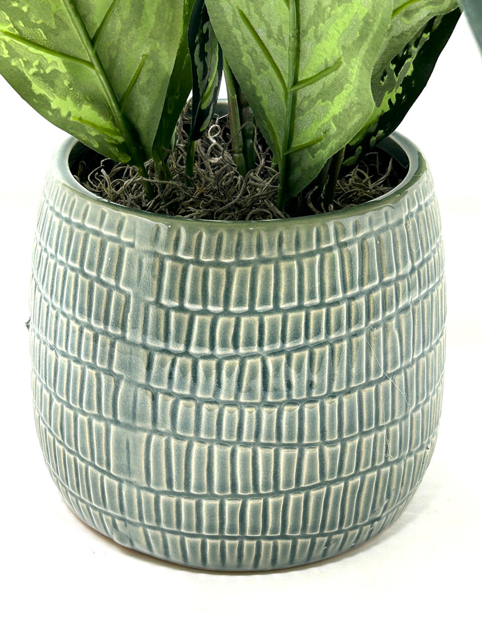 18″ Large SILVER QUEEN AGLAONEMA artificial silk Sword plant, 5″ Cream-green Cer