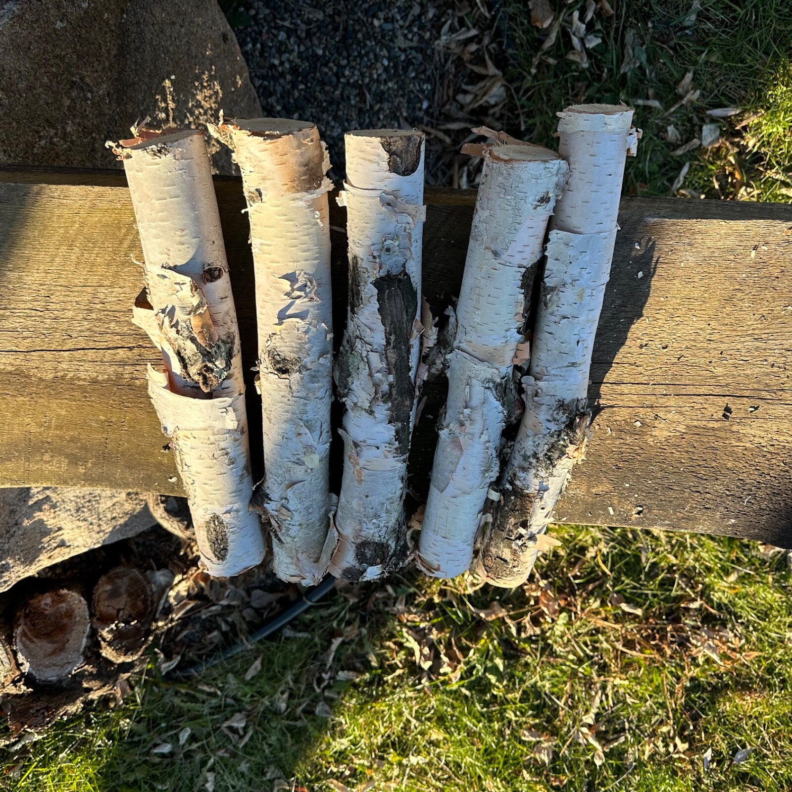 White Birch 5 Pc 14”-16” Long nice Decor Log Set Real Wood dried