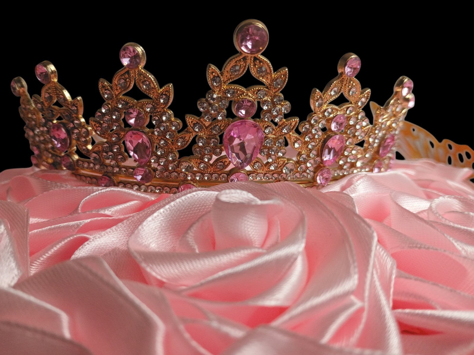 Eternal Rose Bouquet Pink Satin Ribbon Tiara Crown Butterfly Valentine’s Day 36!