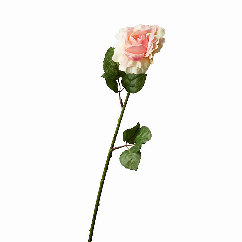 1 Dozen Cream and Pink Artificial Open Rose 25″ Stems
