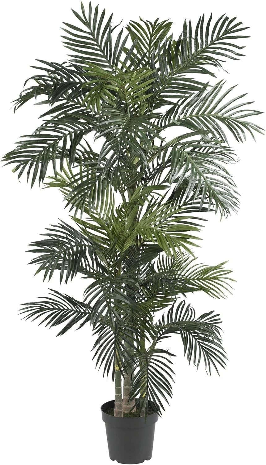 Ready-to-Display 6.5 ft Indoor Palm Tree in Black Planter – Maintenance-Free