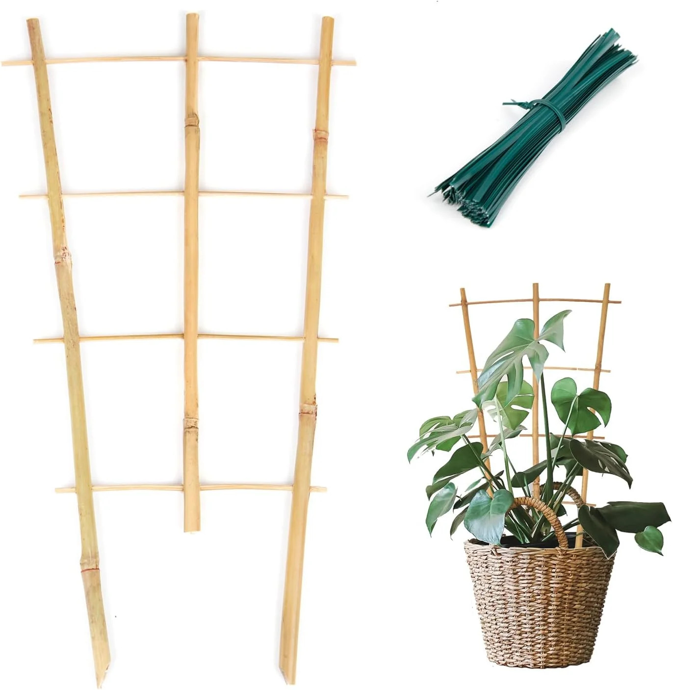 Cambaverd Plant Trellis Indoor, 3 Pack Bamboo Trellises, 16in Fan-Shaped Trellis