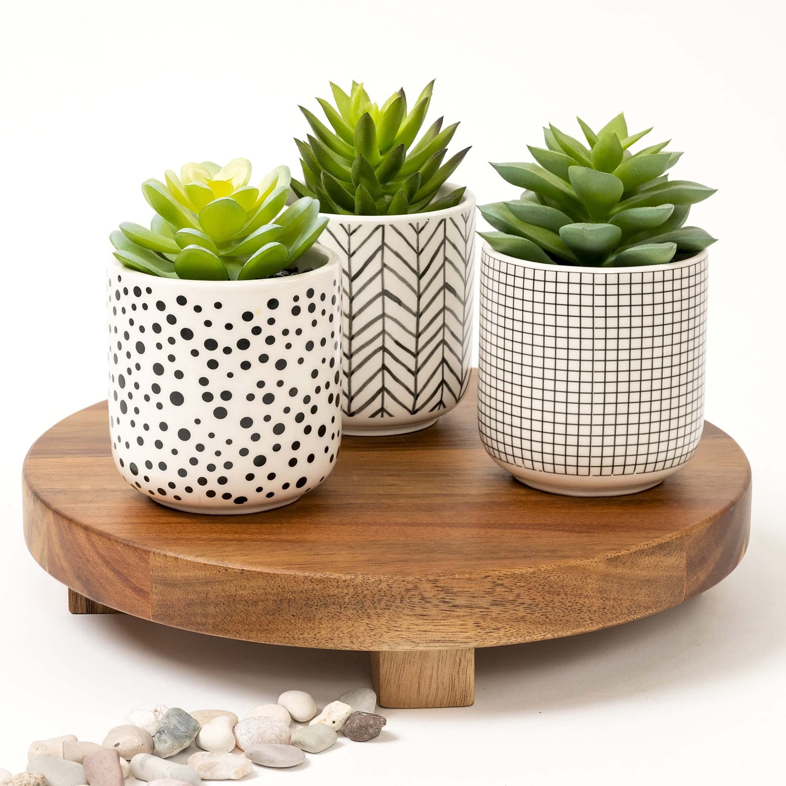 Artificial Succulents in pots | Set of 3 Black and White pots with Faux Succu…