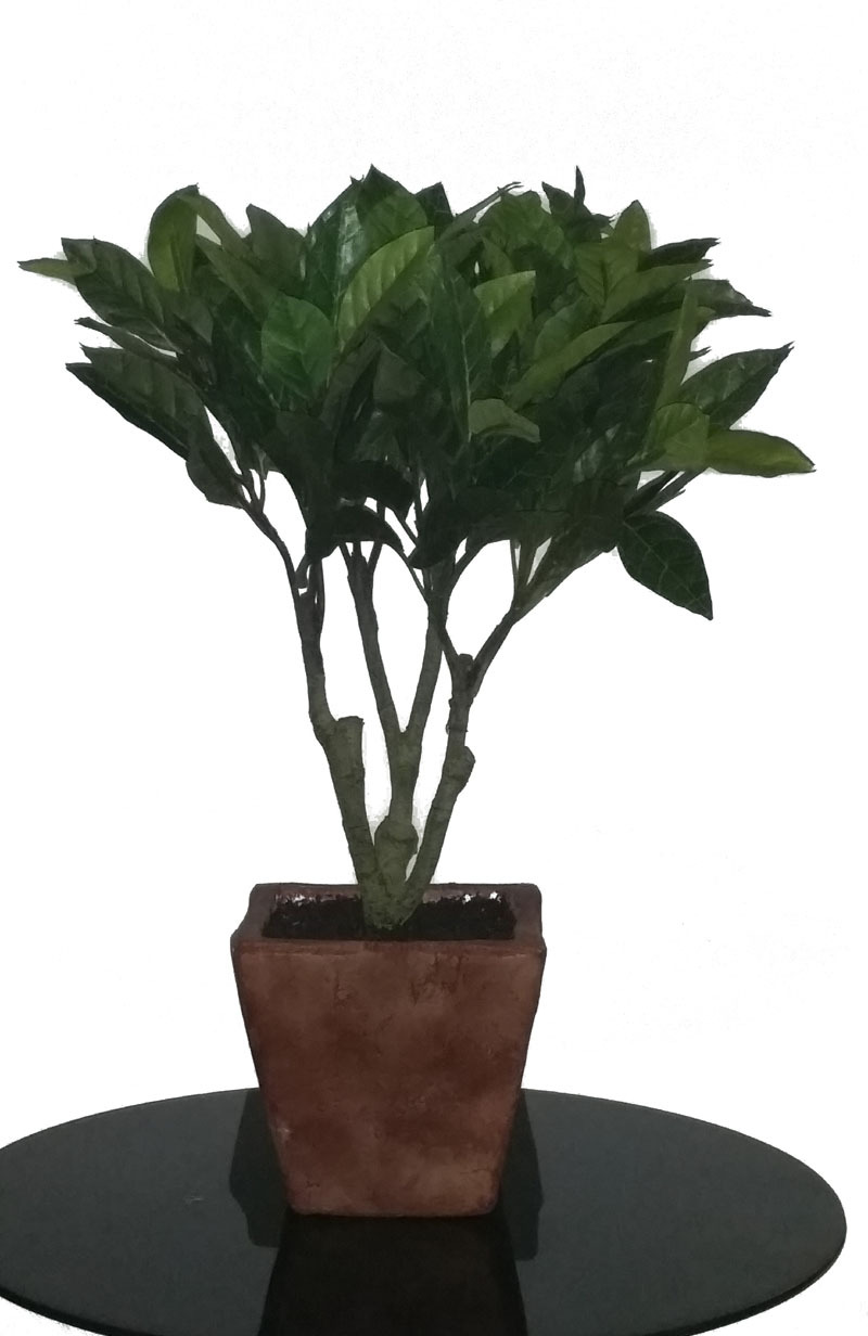 Artificial Dwarf 18″ Bay Leaf Laurel Tree Silk Potted