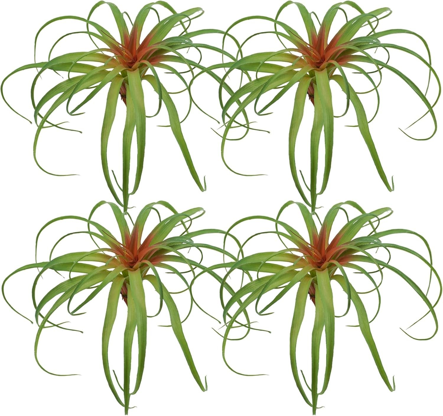 Realistic Flocked Tillandsia Plants – Set of 4