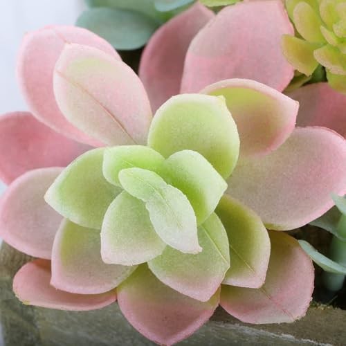 Artificial Succulents in Pots, Artificial Plants for Home Decor Organic
