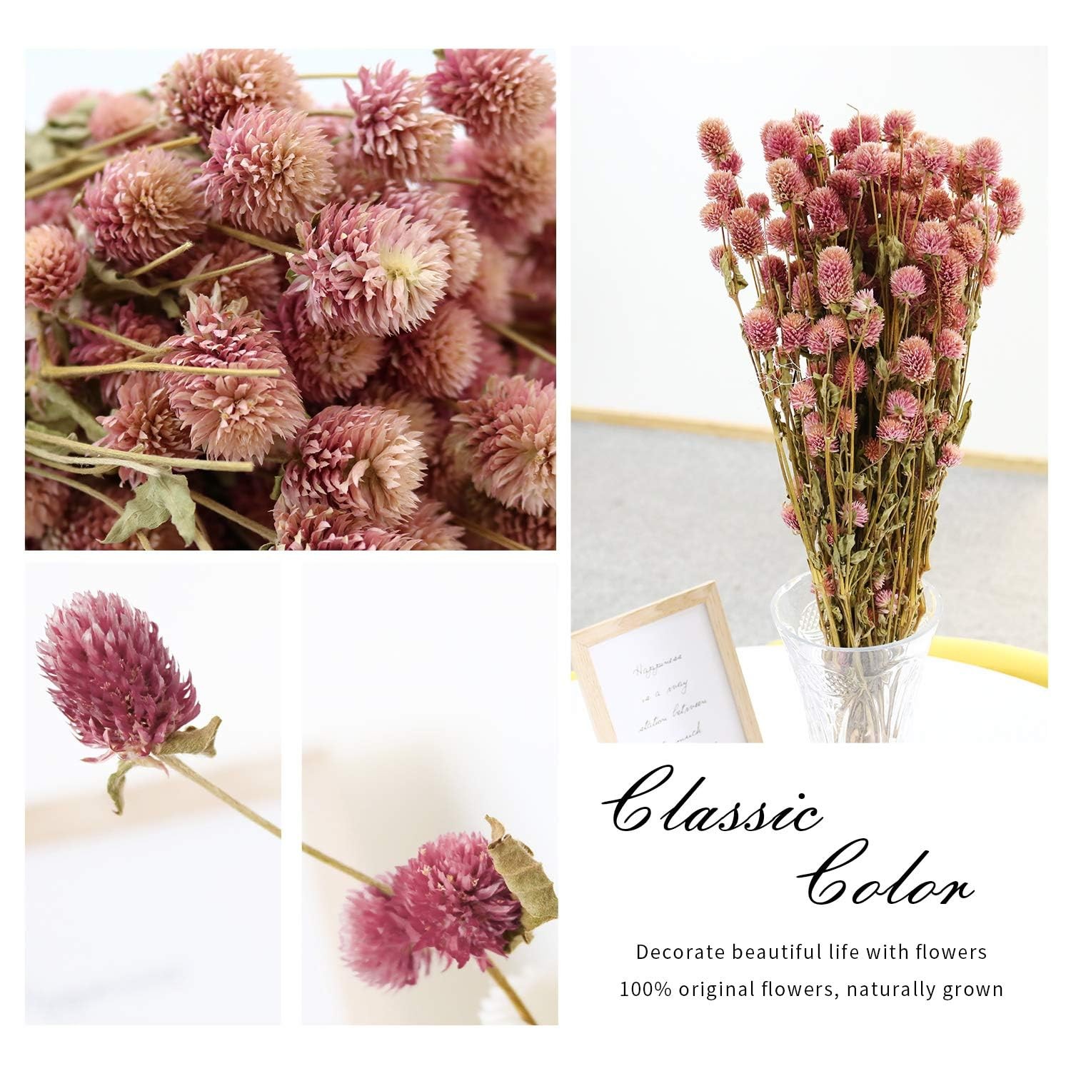White Globe Amaranth Dried Flower Bundles Natural Home Party Decor Pink