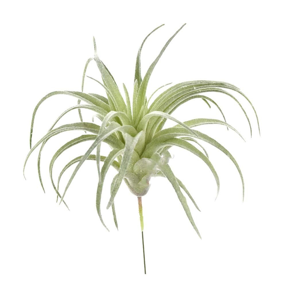 2 PCS Artificial Succulents Plants Unpotted Fake Flocking Tillandsia Air Plan…