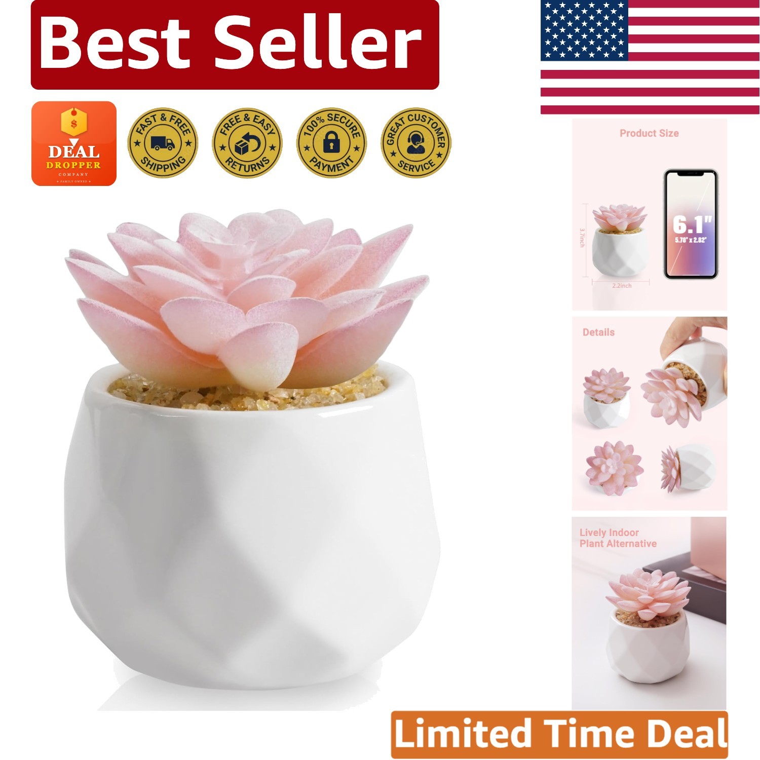 Low-Maintenance Rose Pink Succulents in Chic Pot – Perfect for Busy Lifestyles
