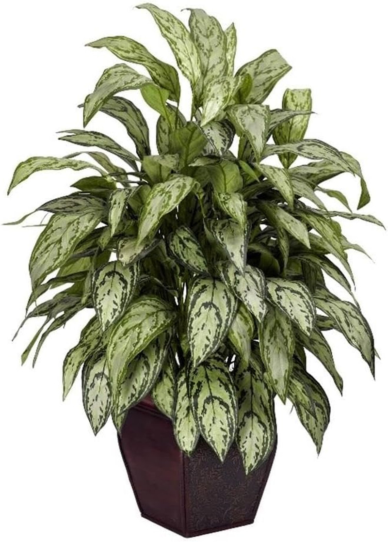 Elegant Silver Queen Silk Plant with Decorative Planter –