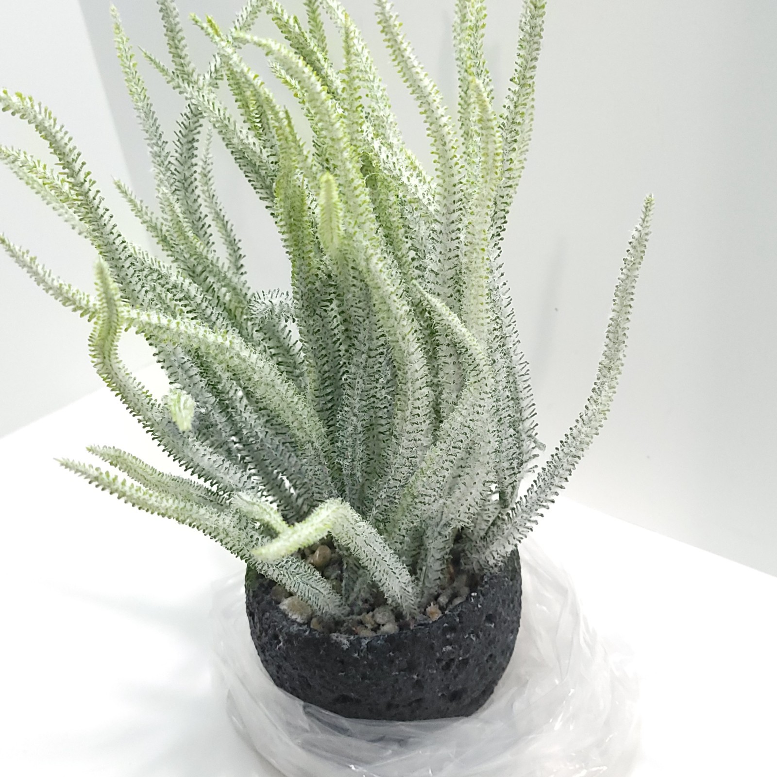 Giftale Faux Frosted Succulent Potted Plant with Polished River Rocks 12″
